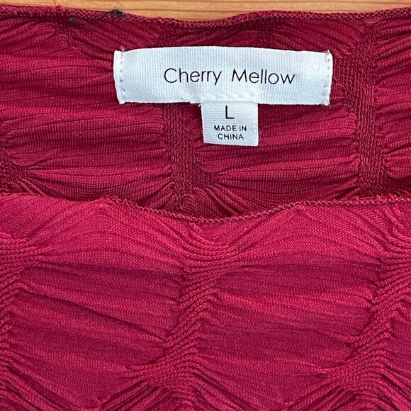 DONATING IF NOT PURCHASED BY 12.1.25 -- Stretchy Top/Blouse - NWOT. - Picture 3 of 6